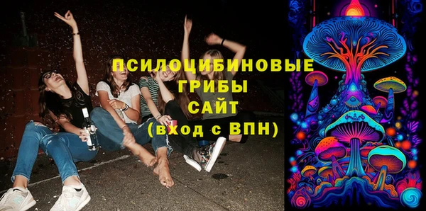 альфа пвп Краснослободск