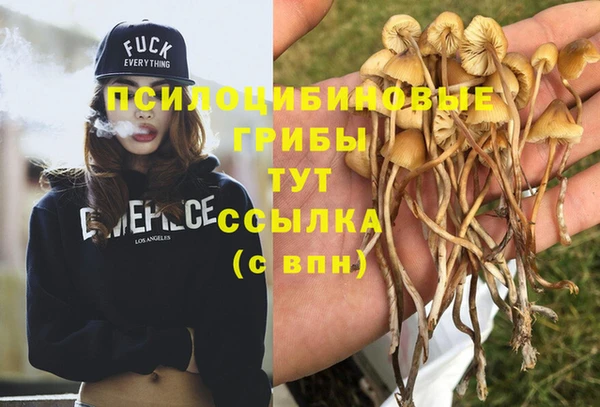 альфа пвп Краснослободск