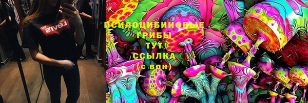 первитин Кукмор