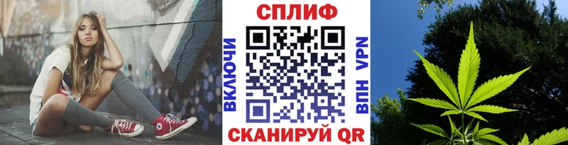 Купить  Губкинский  Бошки Шишки MAZAR 